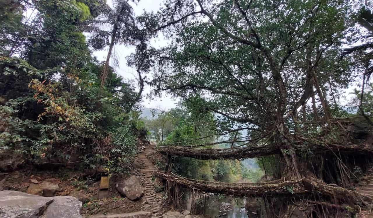 Odyssey Stays Nongriat - 3Kms Trek From Main Road Cherrapunji Luaran gambar