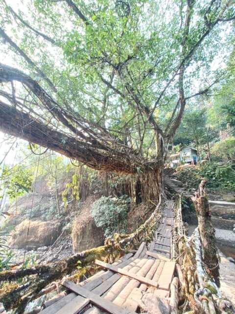 Odyssey Stays Nongriat - 3Kms Trek From Main Road Cherrapunji Luaran gambar