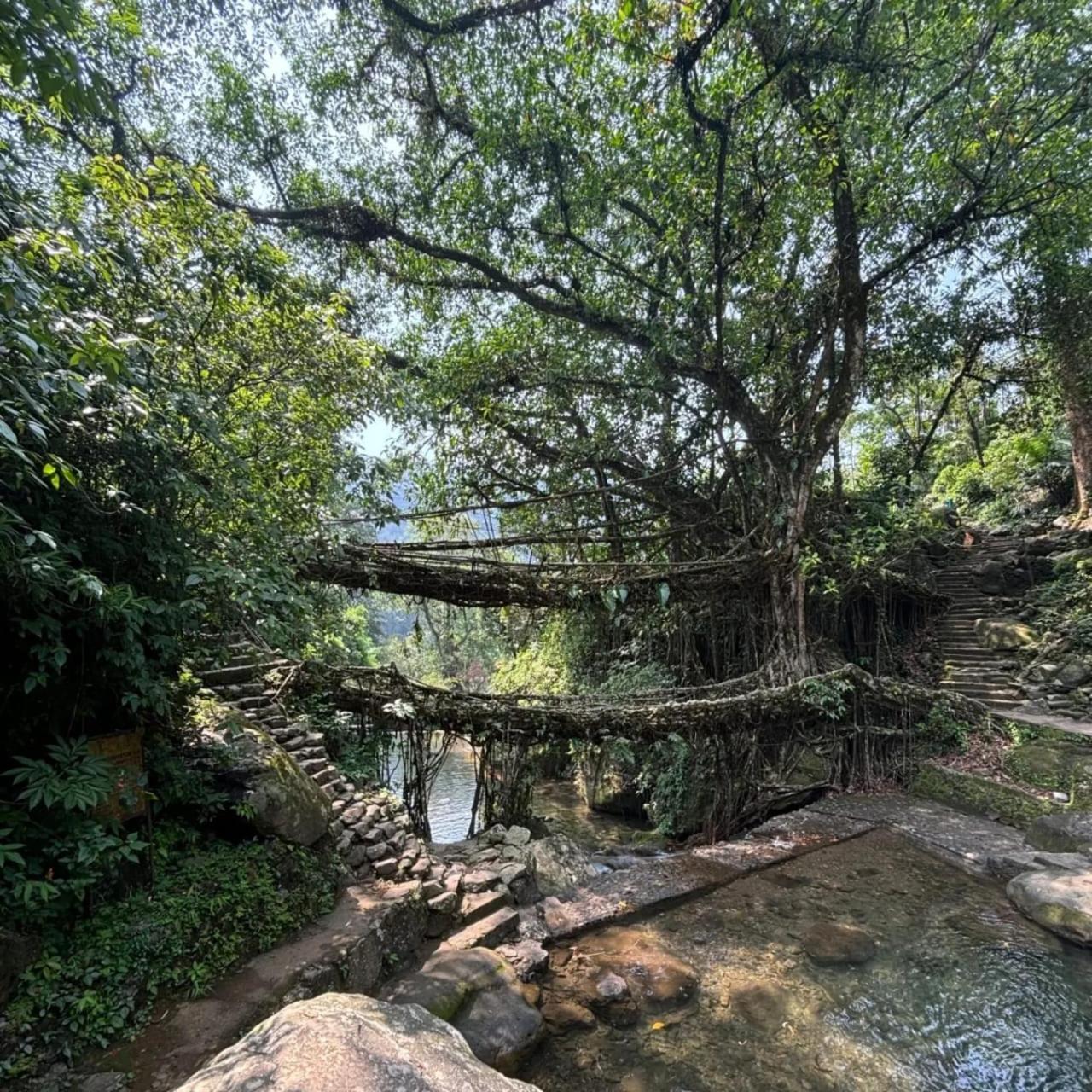 Odyssey Stays Nongriat - 3Kms Trek From Main Road Cherrapunji Luaran gambar